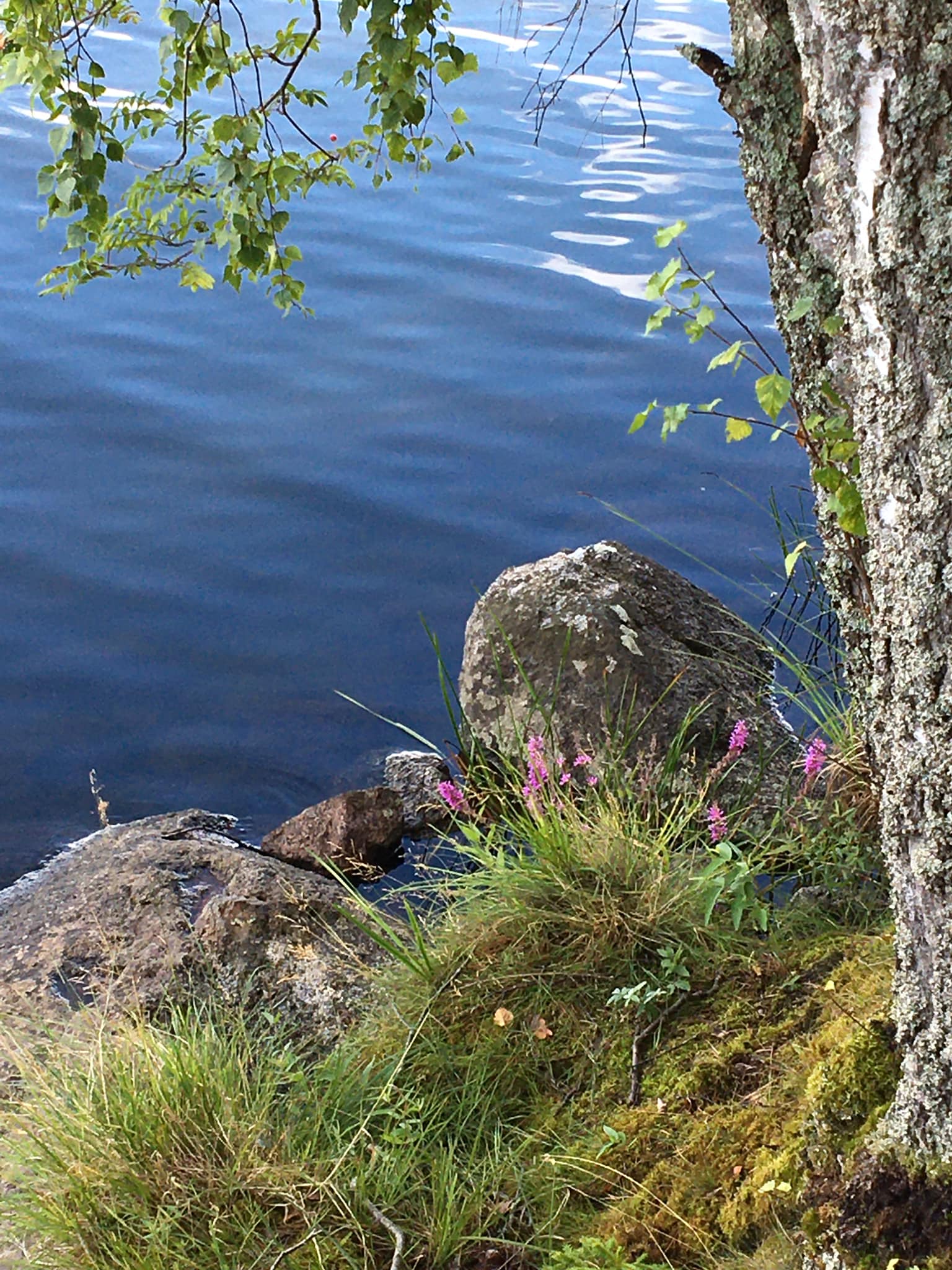 naturbild