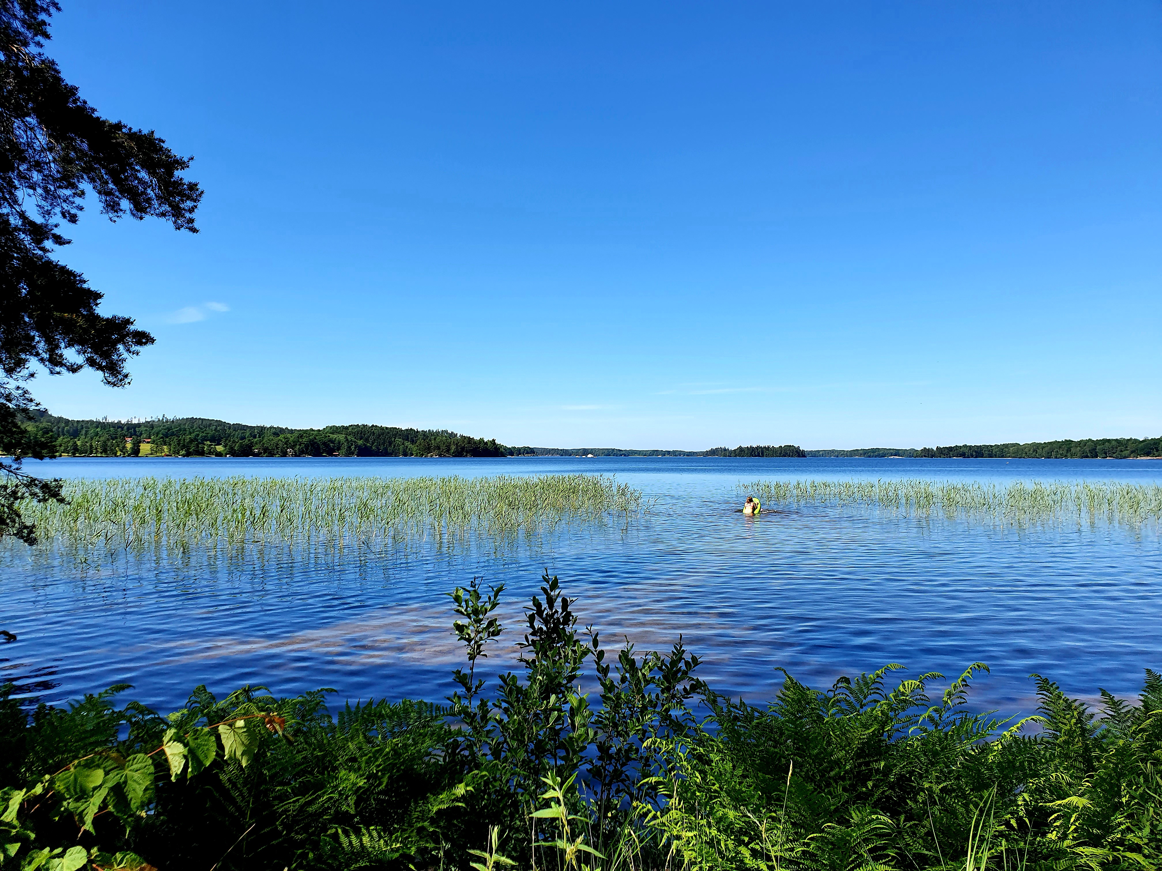 bild på vandring